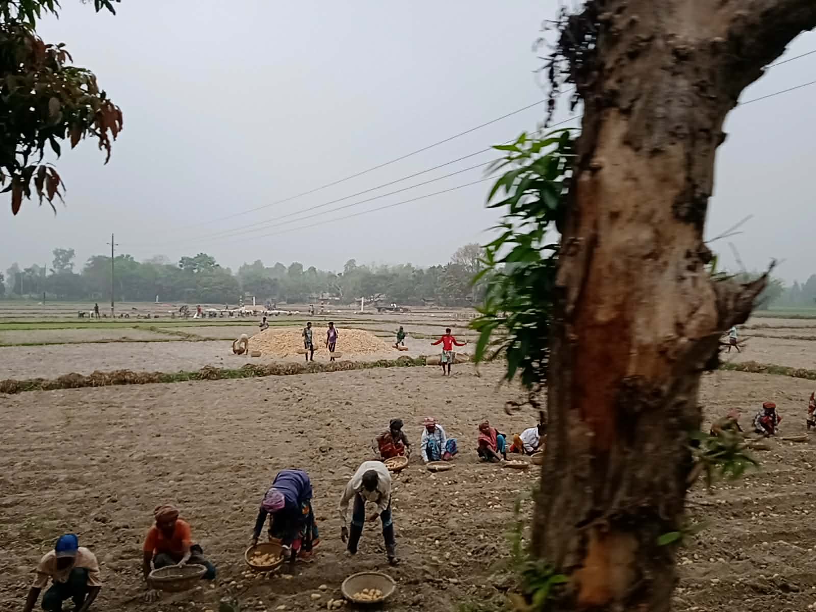 150b1bc5-f529-497d-803c-cbc596a9f544