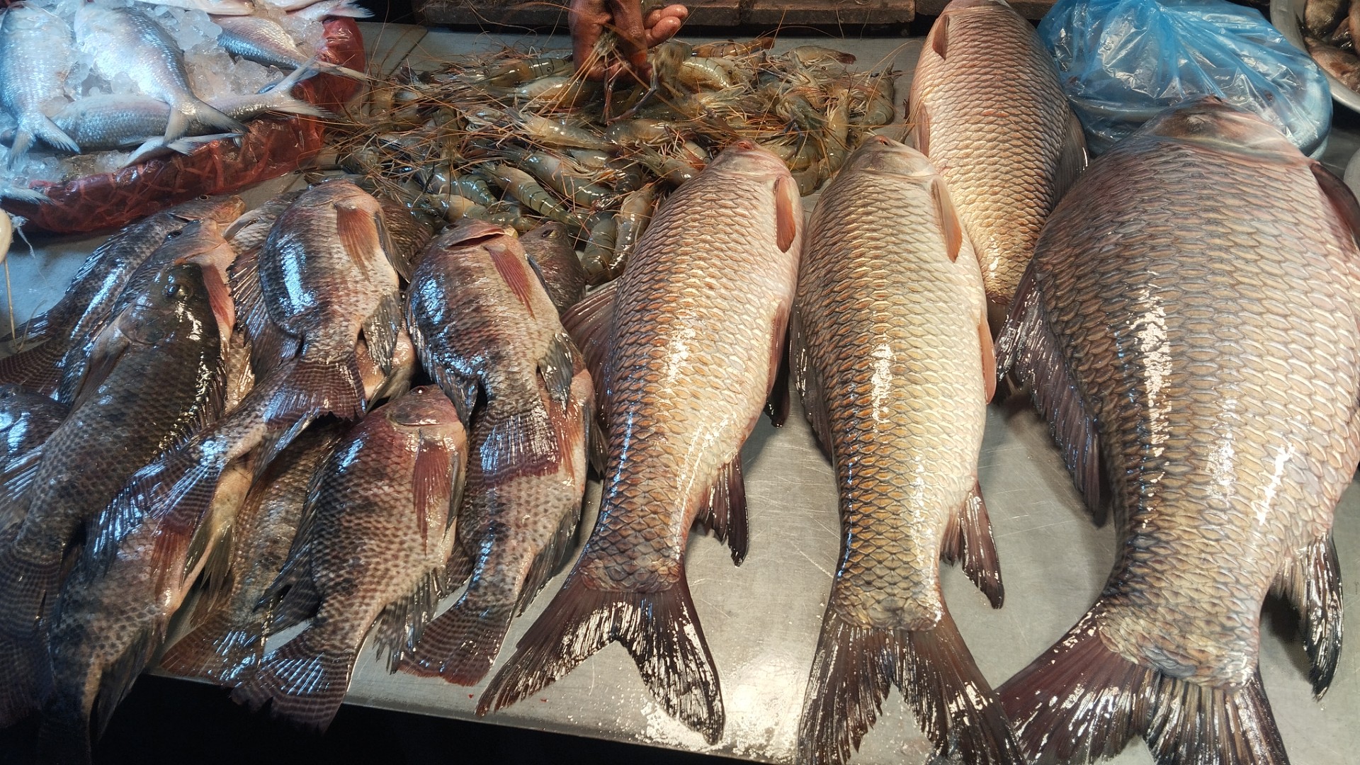 1f6d624c-514f-41d3-86a5-858bd4d85997