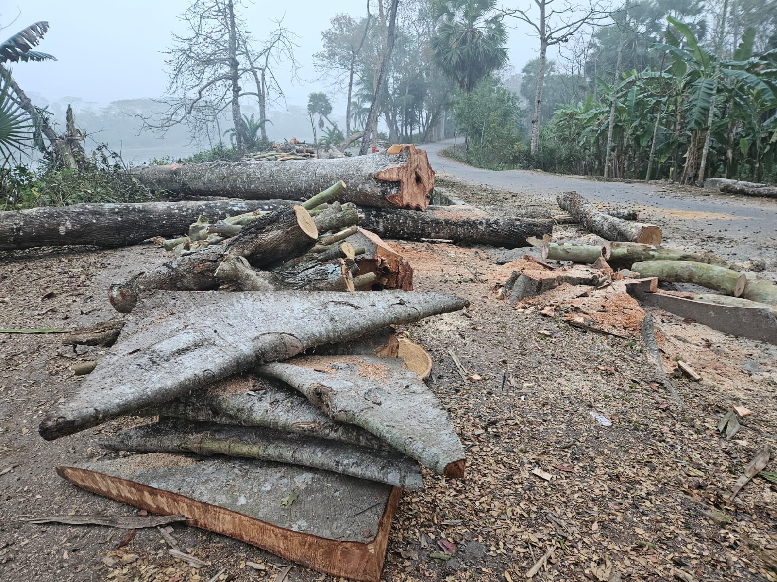 247766c1-5bf9-4332-bdb9-4470a49a8144 247766c1-5bf9-4332-bdb9-4470a49a8144