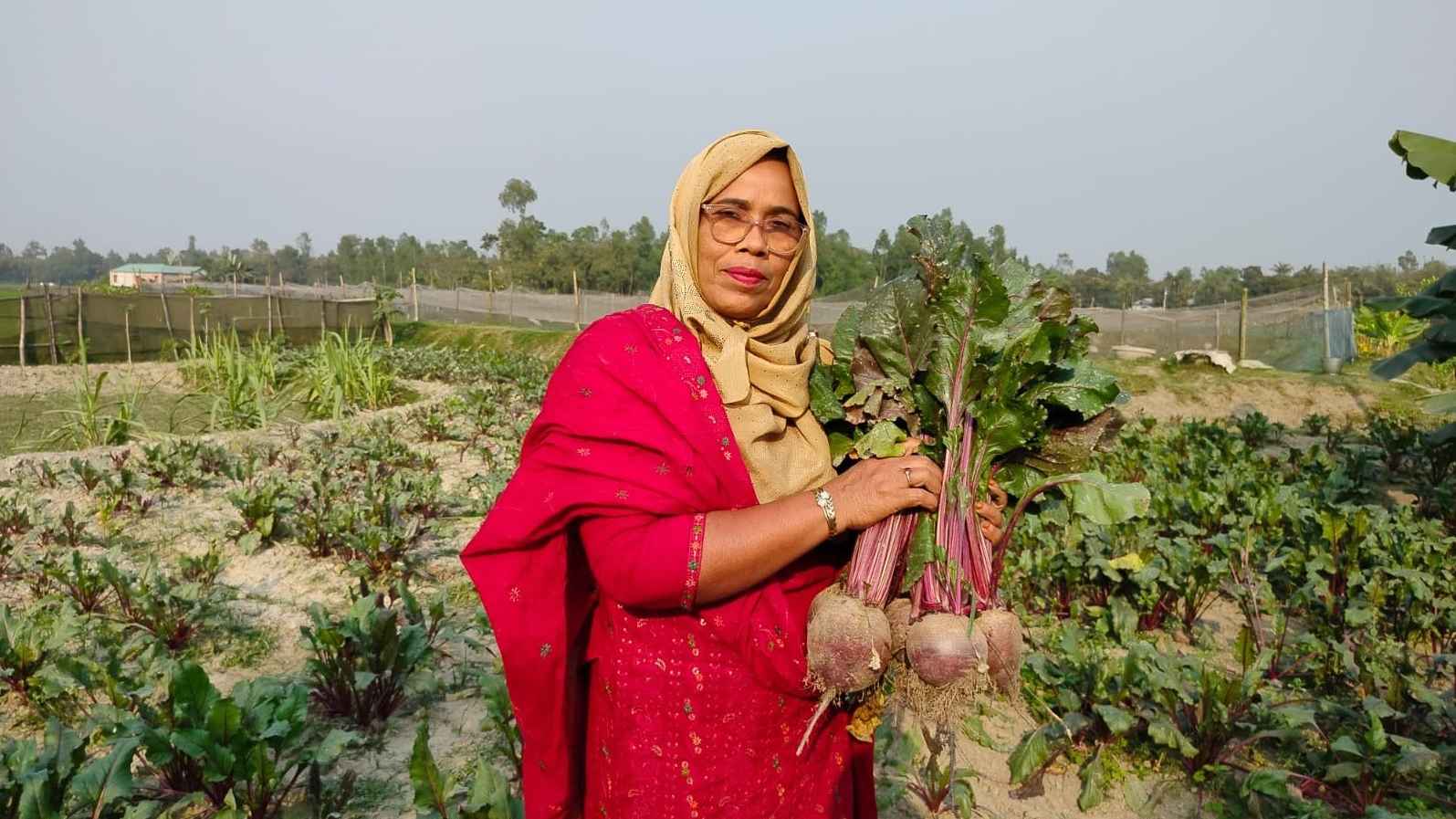 ইউটিউব দেখে বিটরুট চাষে ফেরদৌসির বাজিমাত