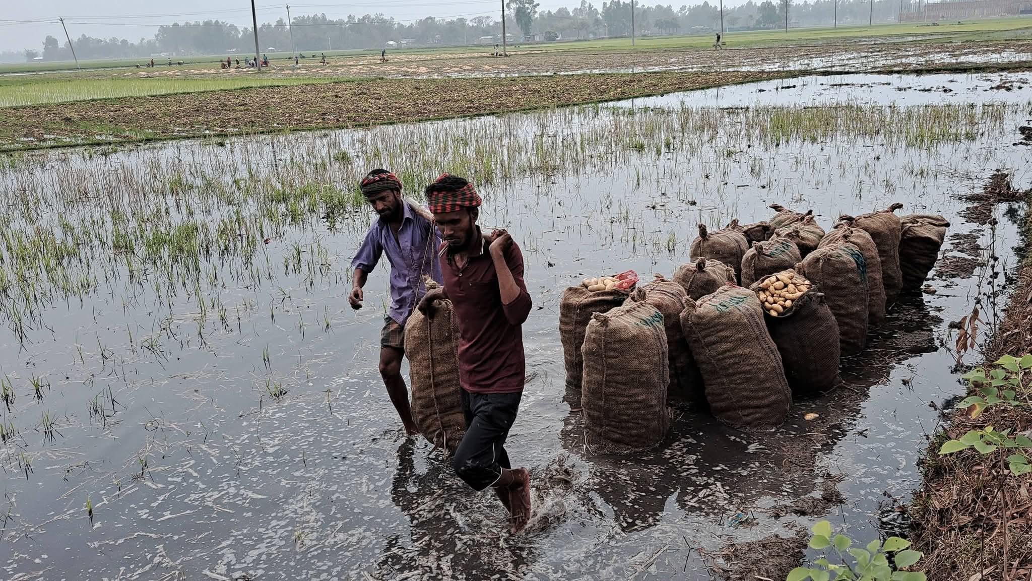 299b904f-150f-4cc6-8d20-6e83ffc489f6 299b904f-150f-4cc6-8d20-6e83ffc489f6