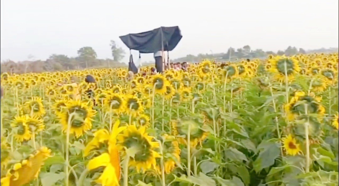 339d2a93-8555-4b9d-b9ea-fd6b1d380915