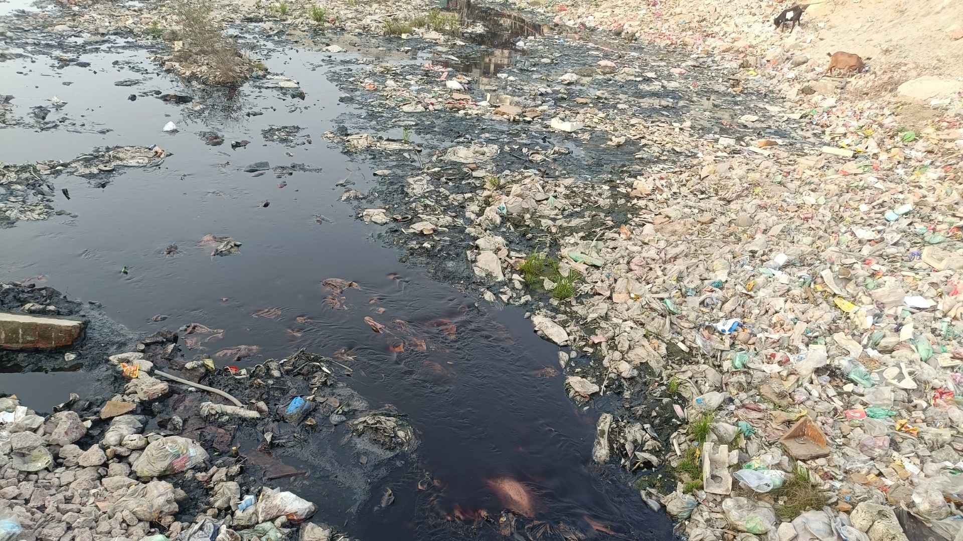বর্ষার আগেই ফতুল্লায় ভয়াবহ জলাবদ্ধতা, প্রশাসনের নীরবতার ক্ষোভ