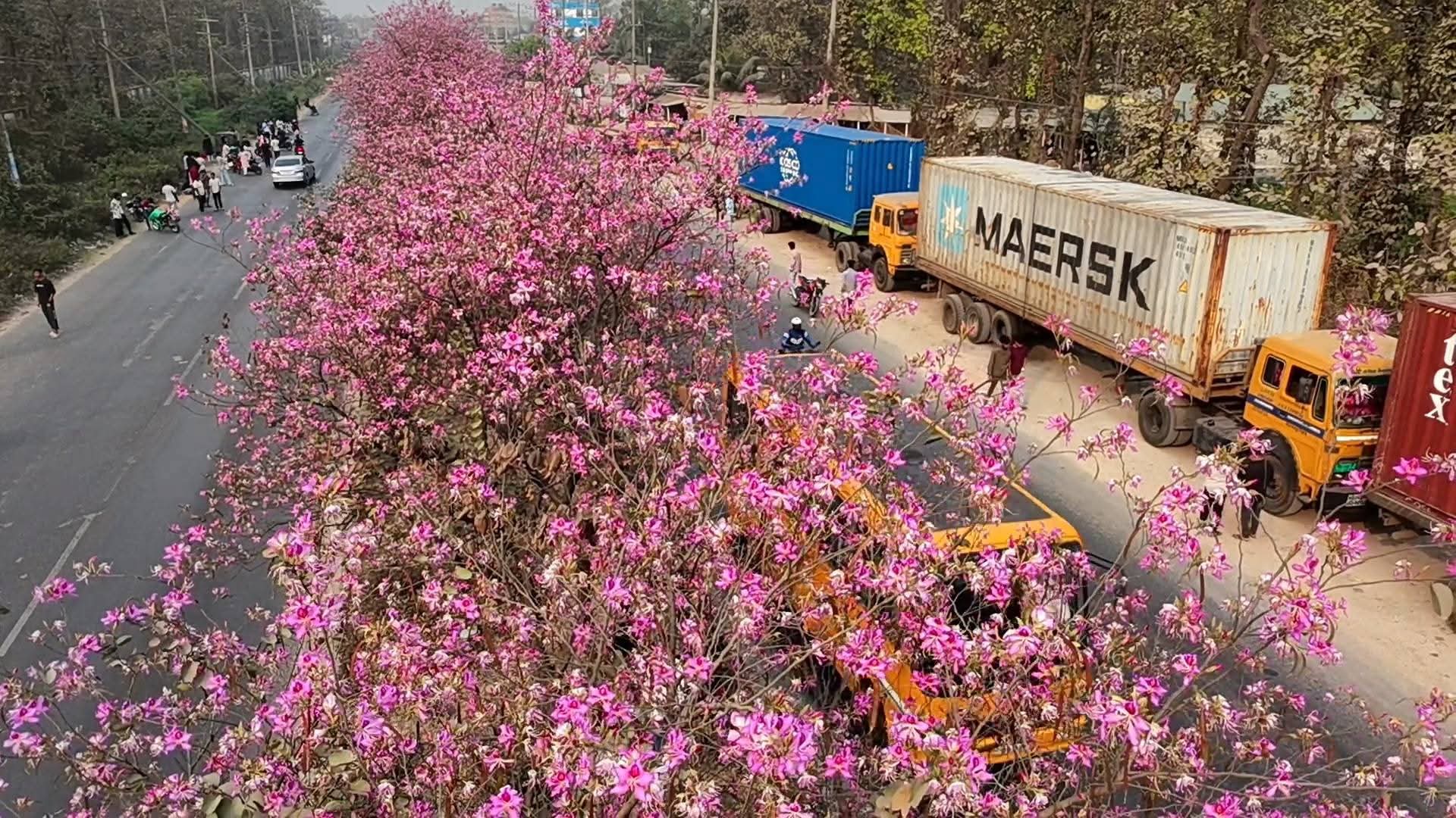 3583feb1-602d-480d-aeb4-09d57ca67a67