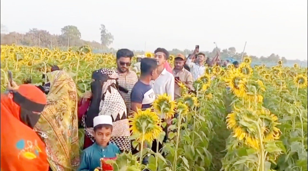 37e22bbd-cbd9-467a-b0eb-7f5823e91d80