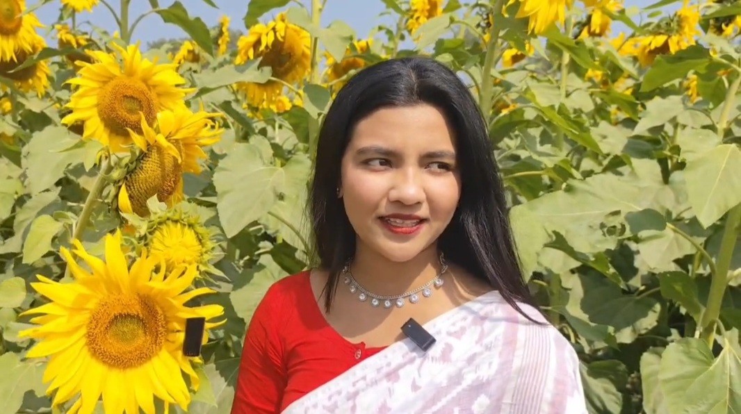 38267998-639a-44fe-a48f-a87c195841d4