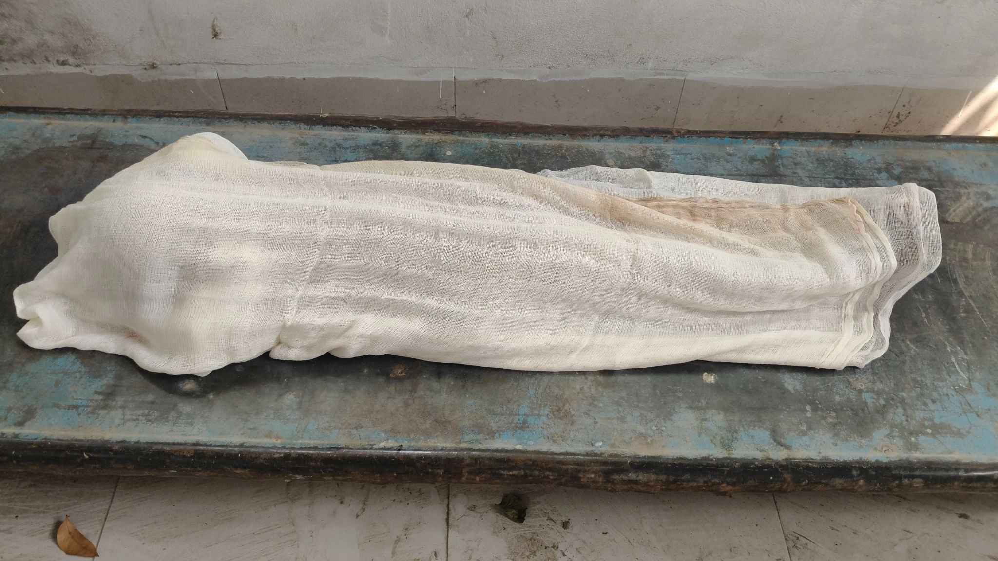 কালীগঞ্জে গাড়ি চাপায় ৫ বছরের শিশুর মৃত্যু