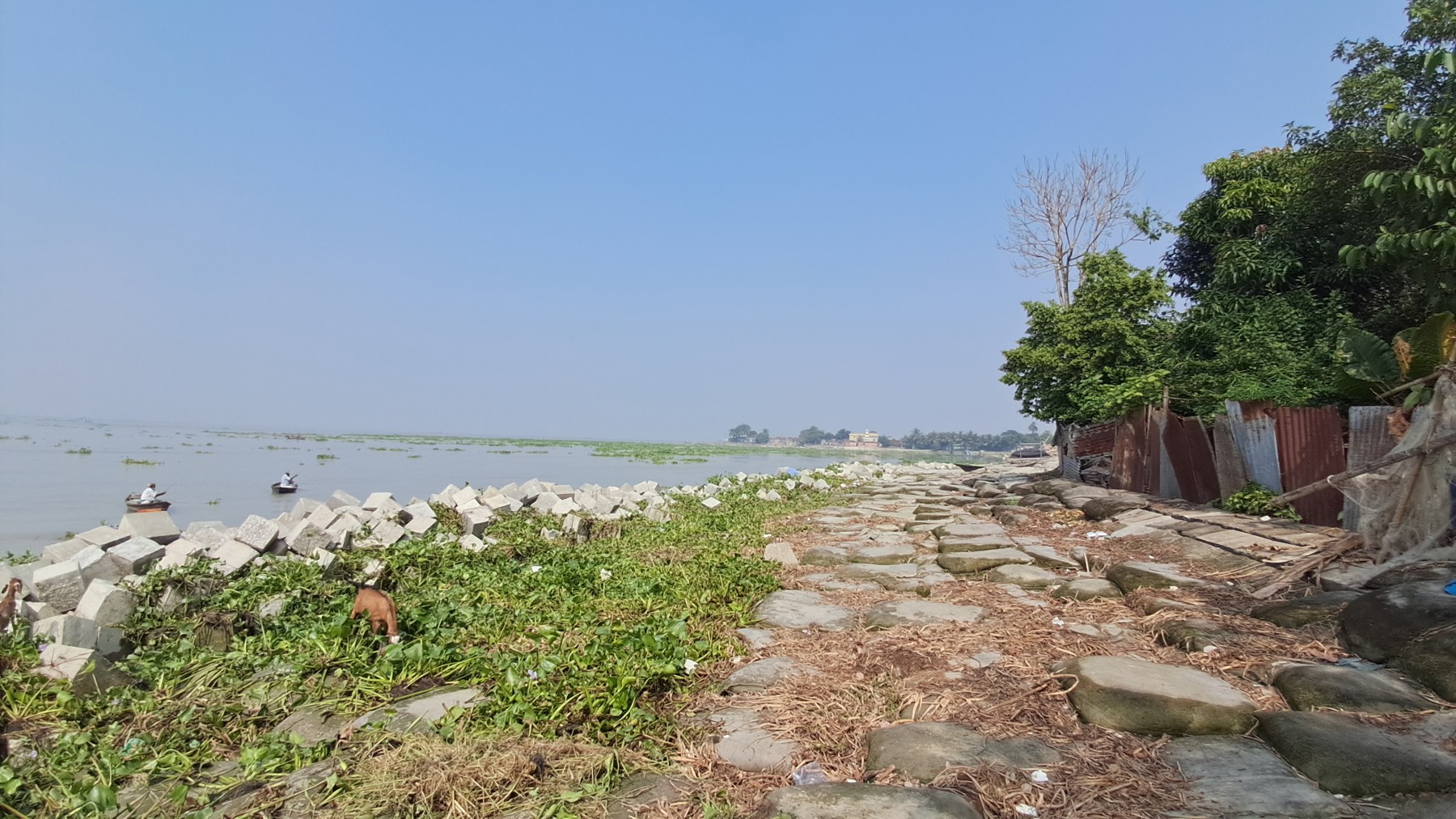 3a525a9a-9e37-4018-bdc8-f67cdf983d09