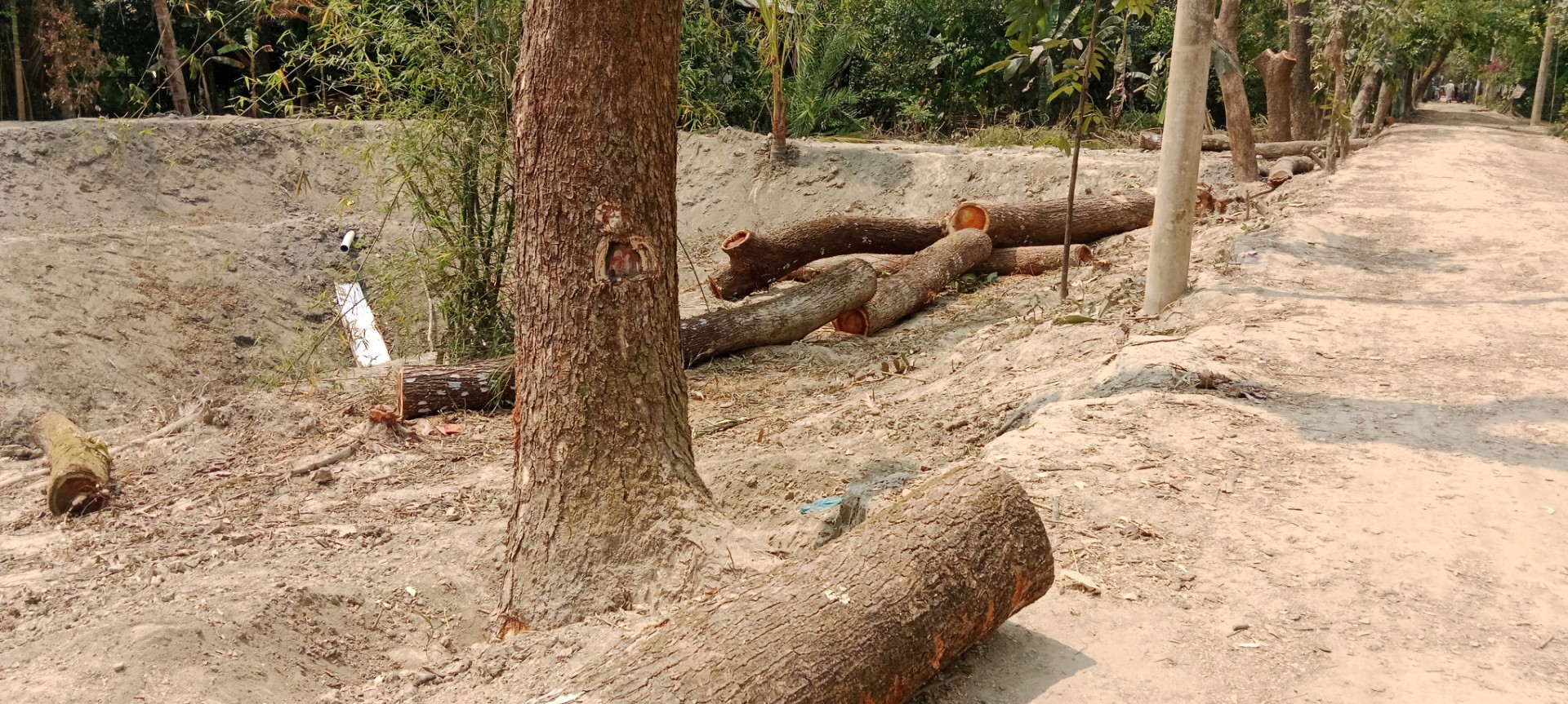 4588b3cc-820f-4aeb-9097-a1df4722b2f5