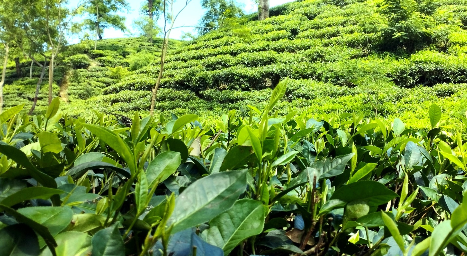 48eb455b-d911-487a-93ec-04b338d85095