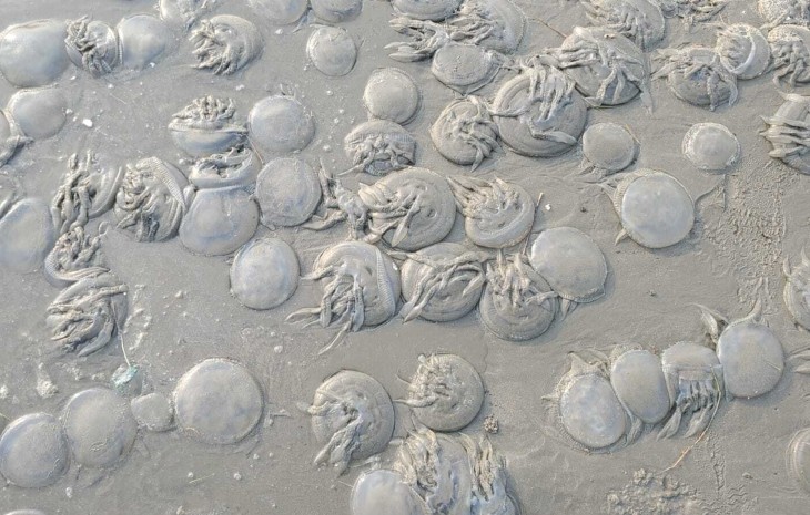 4990eded-cc50-4bef-b47f-9e3ae6461ebd