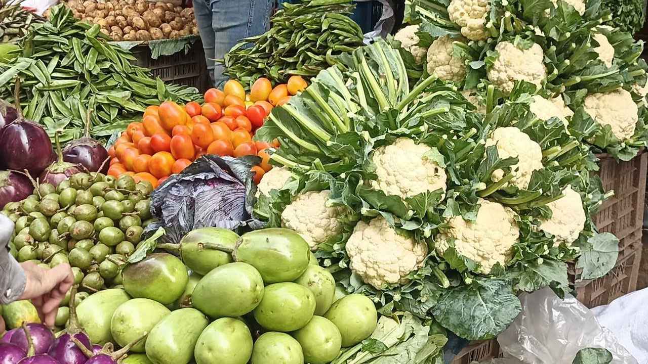 4_20240112_110156056