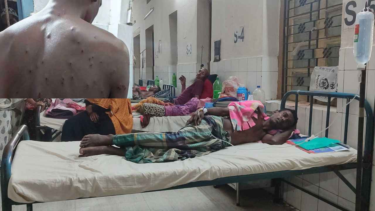 চুয়াডাঙ্গায় সীমান্তে বিএসএফের গুলিতে বাংলাদেশি আহত