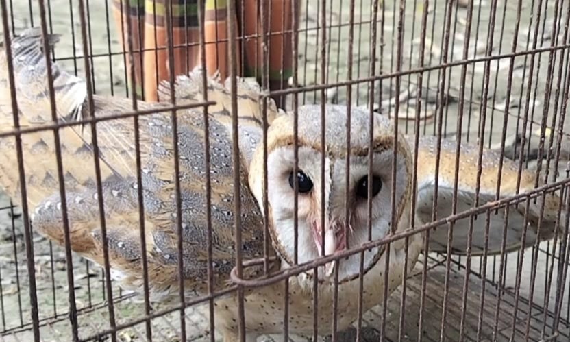 508aeed3-9baf-417e-9f84-f0fe5826e96f 508aeed3-9baf-417e-9f84-f0fe5826e96f