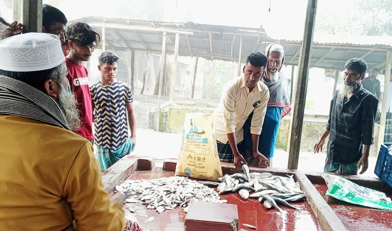 509280de-7ab3-475d-9ae0-c639a03fc0db 509280de-7ab3-475d-9ae0-c639a03fc0db