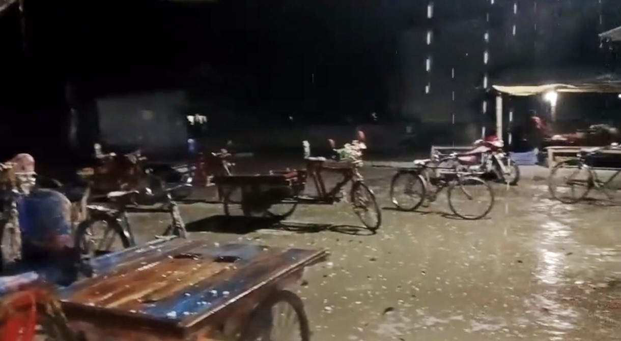 510451aa-1898-4efc-834f-f1d3a3d51c09 510451aa-1898-4efc-834f-f1d3a3d51c09