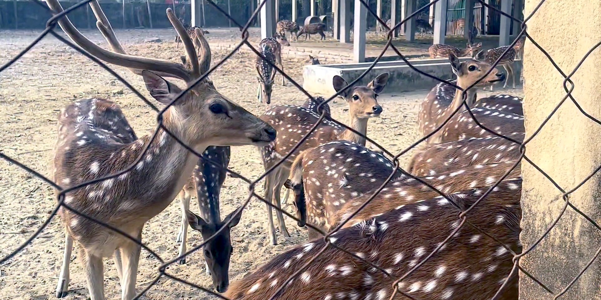 512385d8-1d45-414d-b9f2-e5fb41041feb