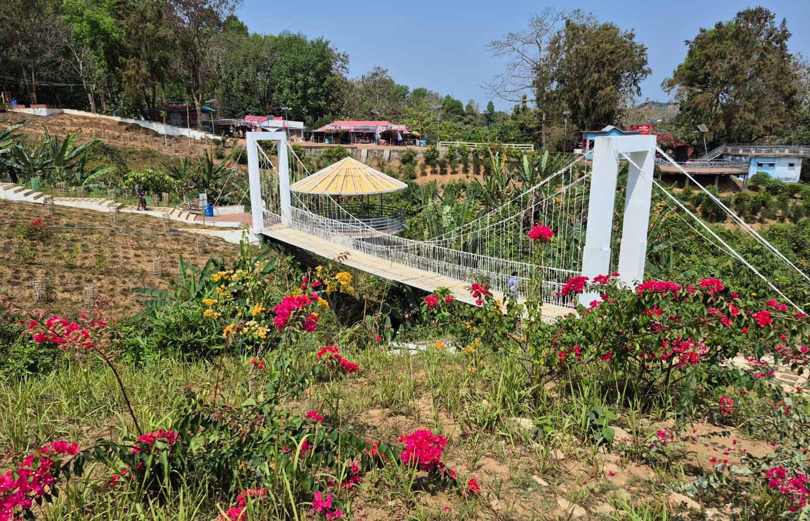 541bd135-edf3-499a-b5fb-474327dbdc39