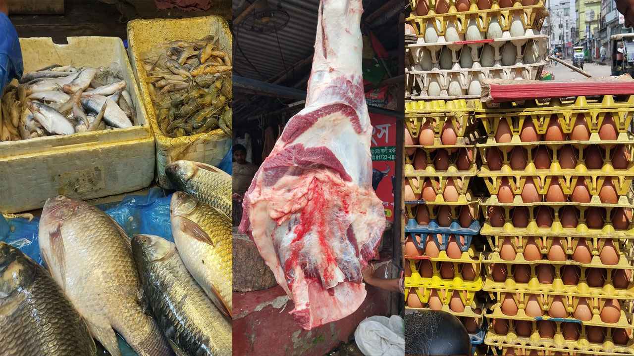 মাছ-মাংসের দামে আগুন, গরিবের ‘ভরসা’ পোল্ট্রি মুরগি-ডিমেও অস্বস্তি