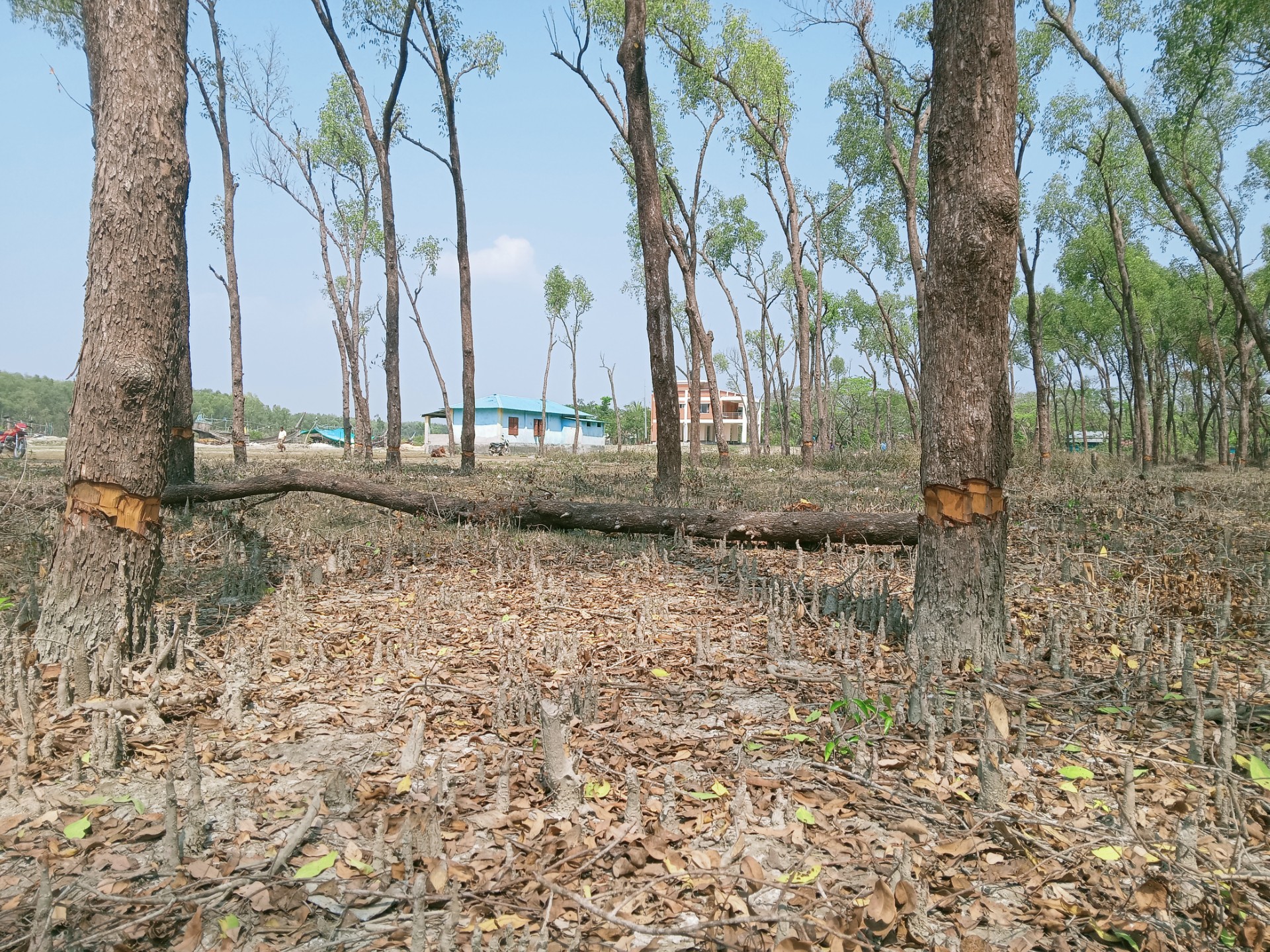 5c762895-1113-491d-b36f-9496c6440618