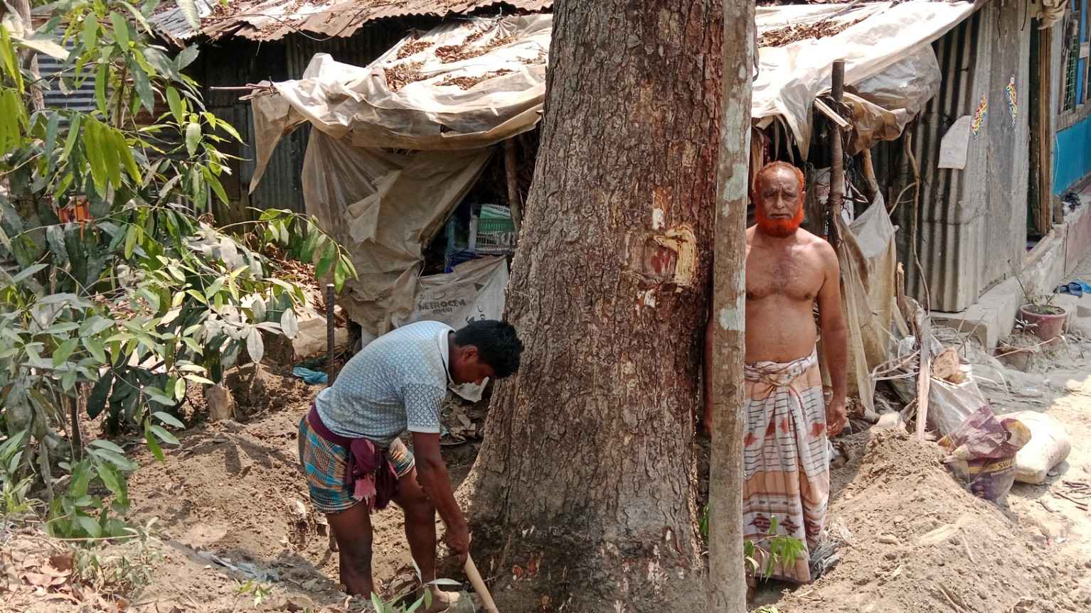 বরগুনায় সামাজিক বনায়নের টেন্ডার ঘিরে অনিয়মের অভিযোগ