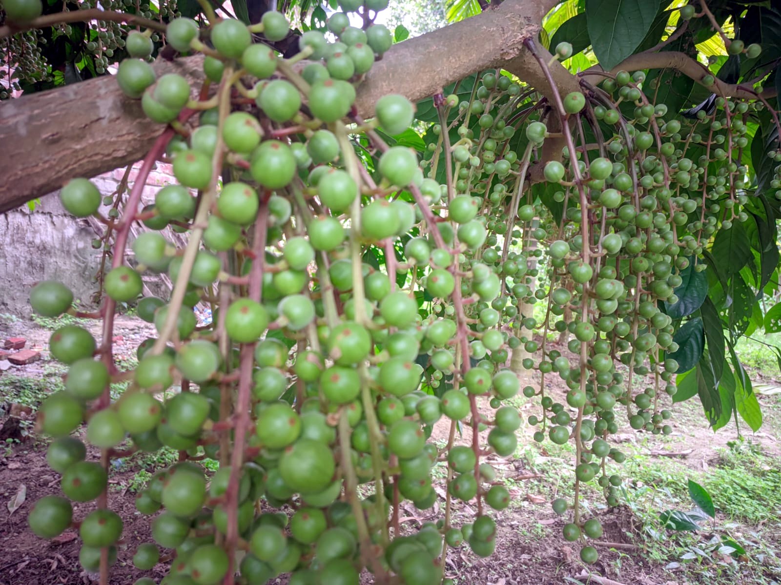 600d7e9c-a7e5-49a7-8761-4ad410e8e0a3