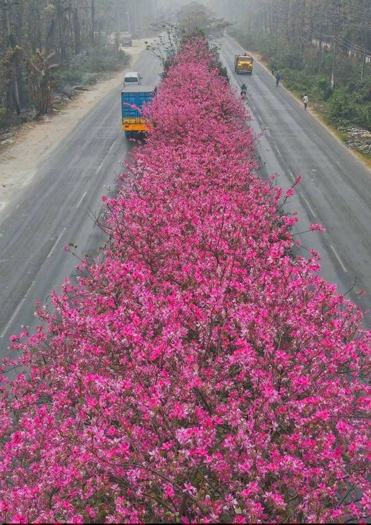 646179566_947192084321966_4807105330962118516_n