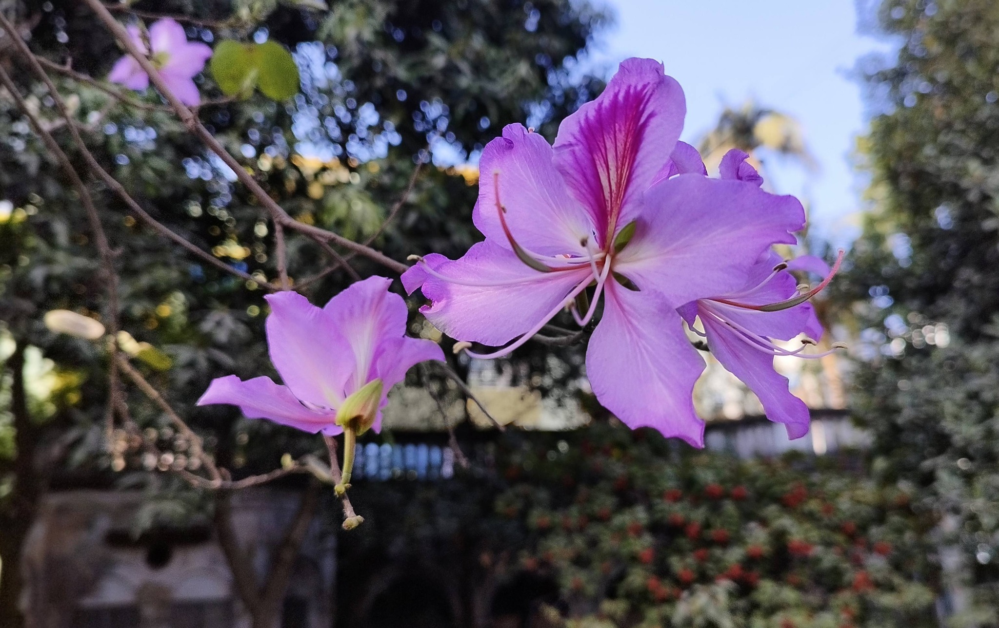 649217601_10241806662966948_7510350508946590208_n