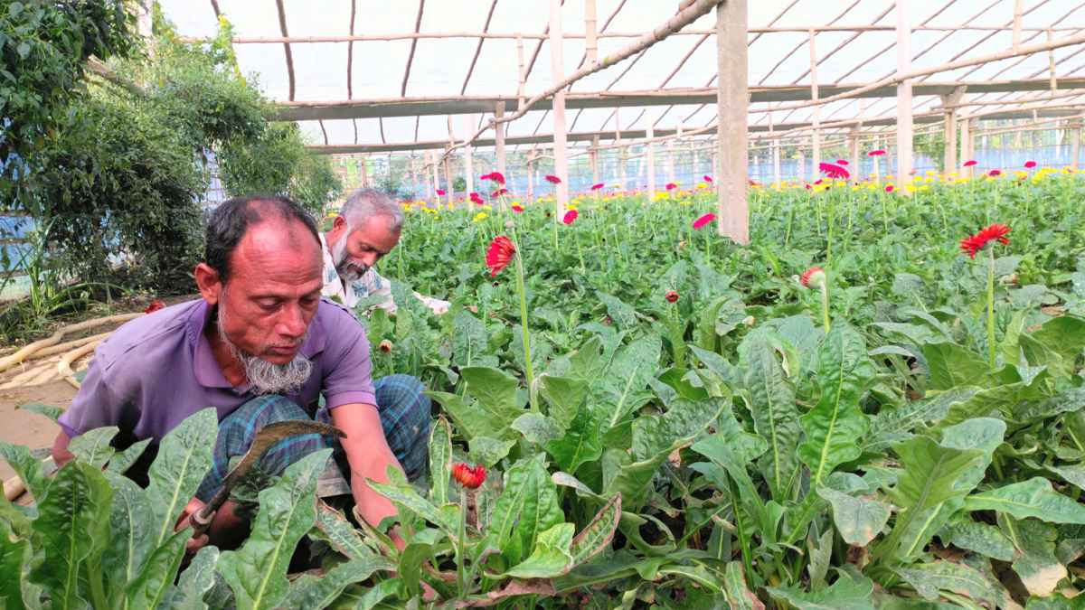 65a1db71-7ef4-41b2-8fa5-8086ae2730f1