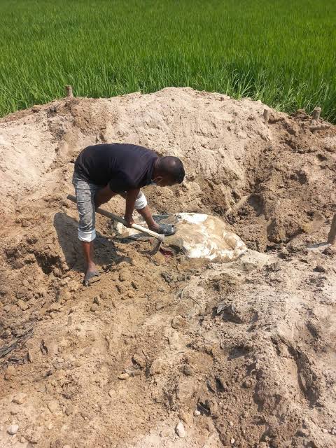 65f3739f-def8-4e8d-9c49-d6c453ff4612