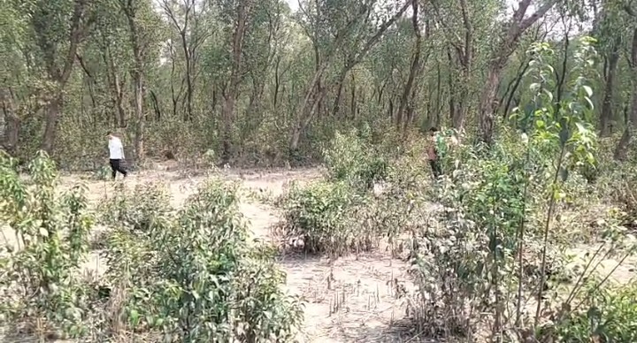 66e245d4-8391-4d40-bd0a-bef22c74d7c7