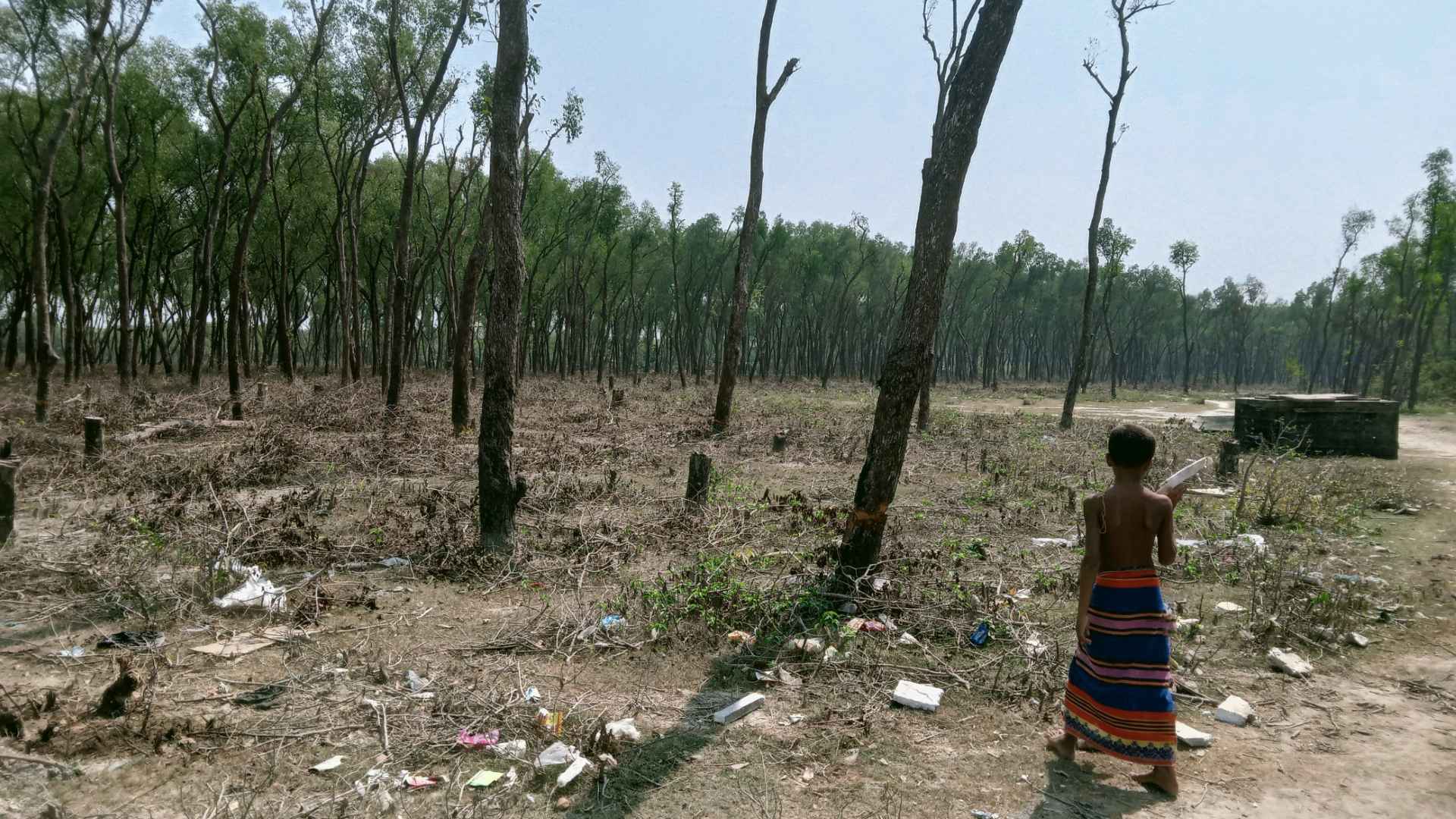 হাতিয়ায় বন রক্ষক ও ভূমি অফিসের অনিয়ম-গাফিলতিতে জাতীয় উদ্যান বিরানভূমি