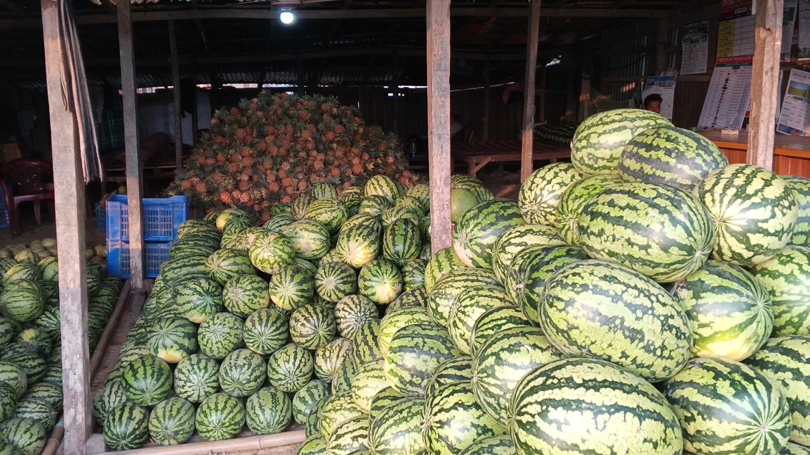 6d8f3010-abef-407f-aa02-87070bb2000c