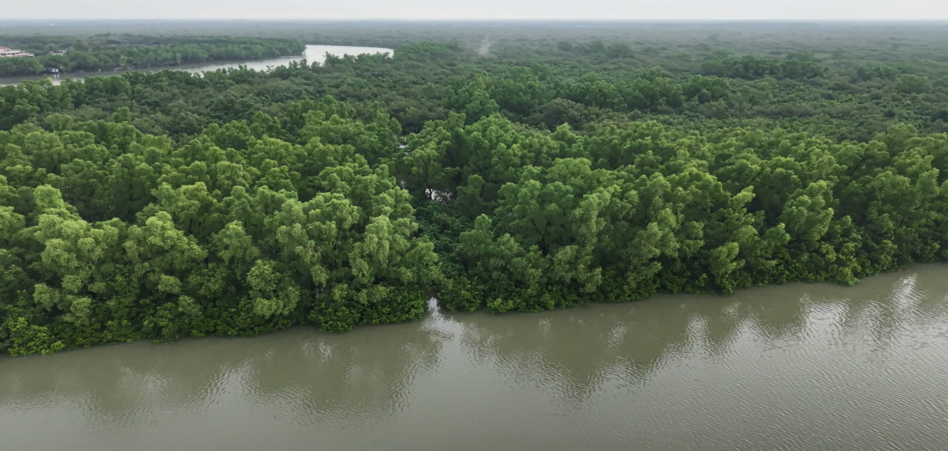 6e306589-2e89-4cd1-b64a-e3781aadfdff 6e306589-2e89-4cd1-b64a-e3781aadfdff