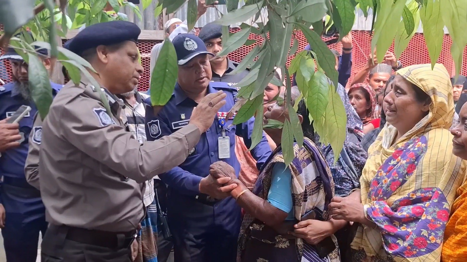 6ed29337-118a-4206-b142-d3c658ab619e