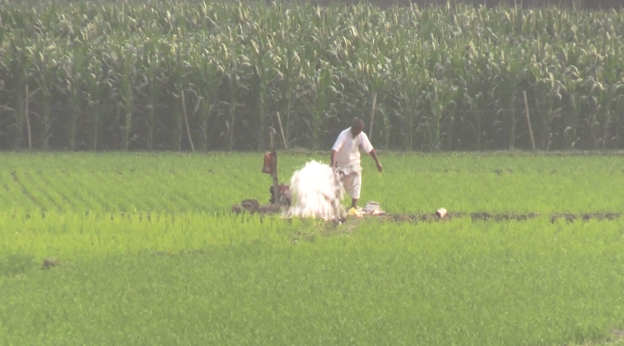 7937d529-3a50-4825-9774-73c36a0e20a0 7937d529-3a50-4825-9774-73c36a0e20a0