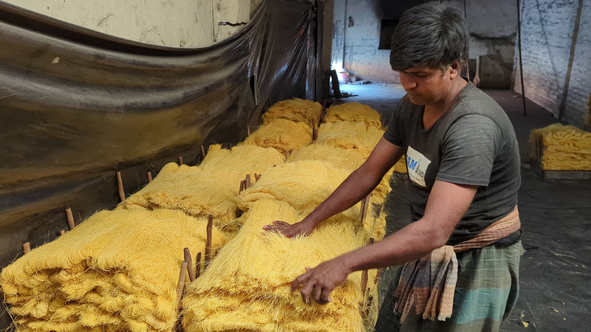 81c42076-a23f-4ebb-8c12-a2b67bb67785 81c42076-a23f-4ebb-8c12-a2b67bb67785