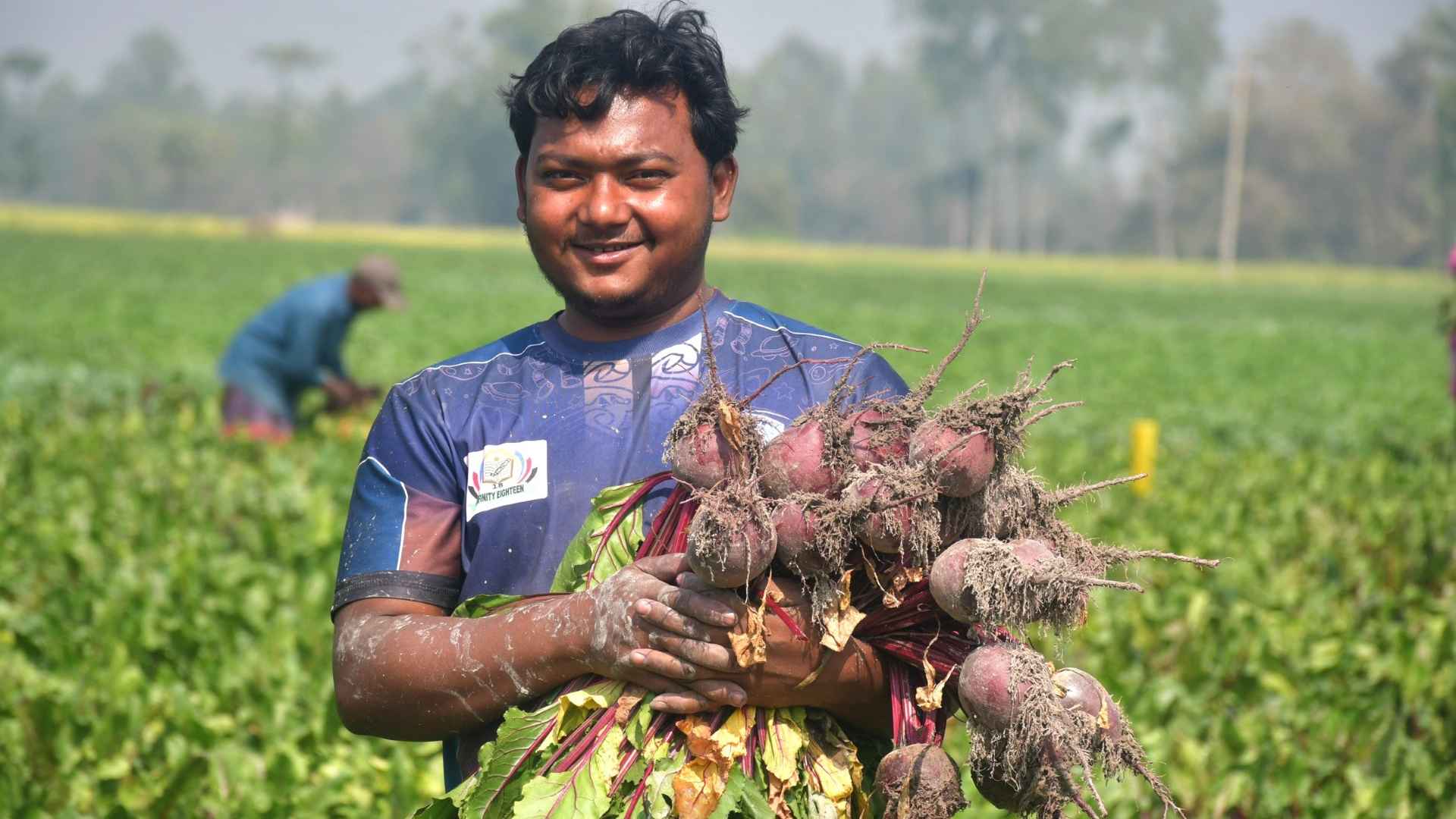 কৃষকদের অল্প খরচে বেশি লাভের স্বপ্ন দেখাচ্ছে ‘বিটরুট’