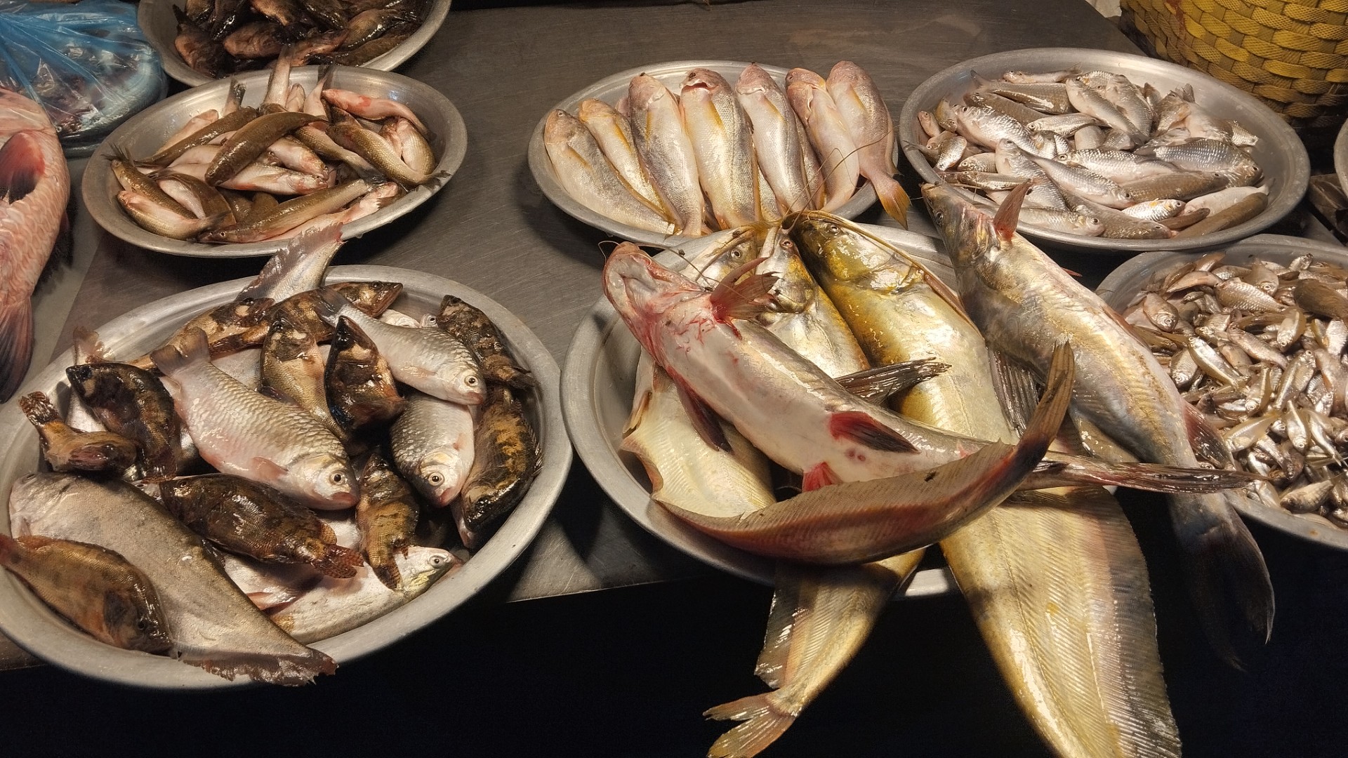 9924a688-c940-4d91-b606-c78ab20b19e4