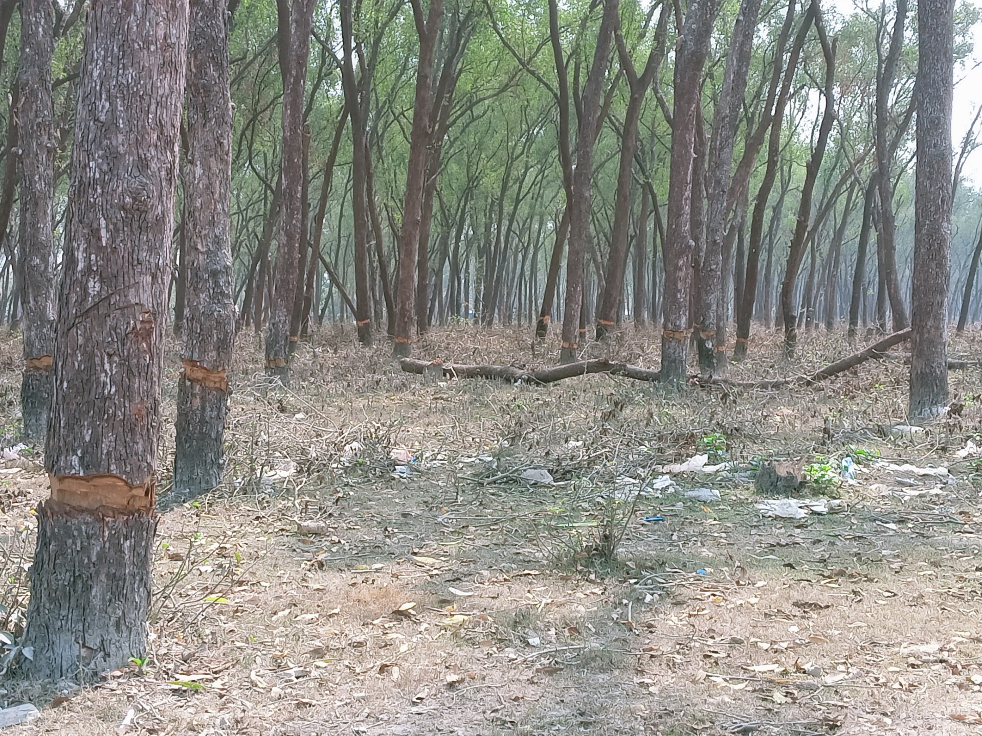 999a790f-dc2d-4bce-ab58-9cadad02d057