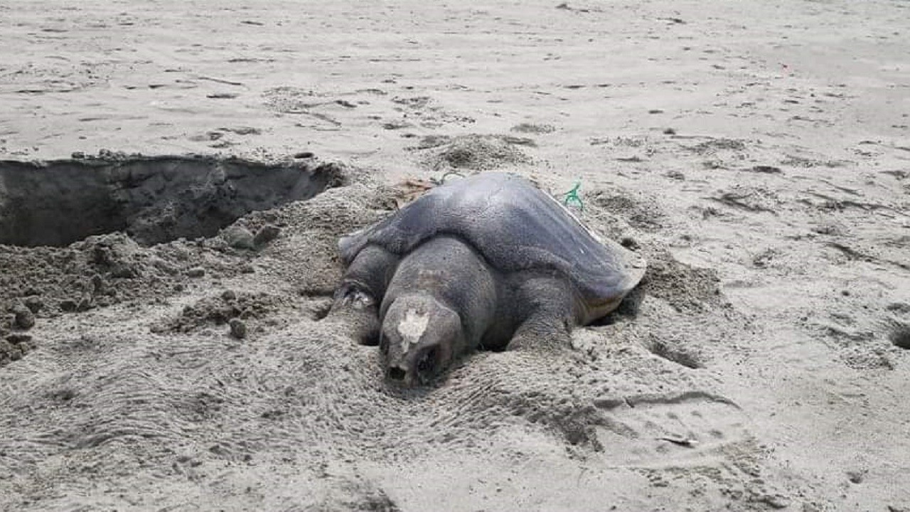 9b576e96-8e7d-4ee5-ae2d-f3a00a58276e 9b576e96-8e7d-4ee5-ae2d-f3a00a58276e