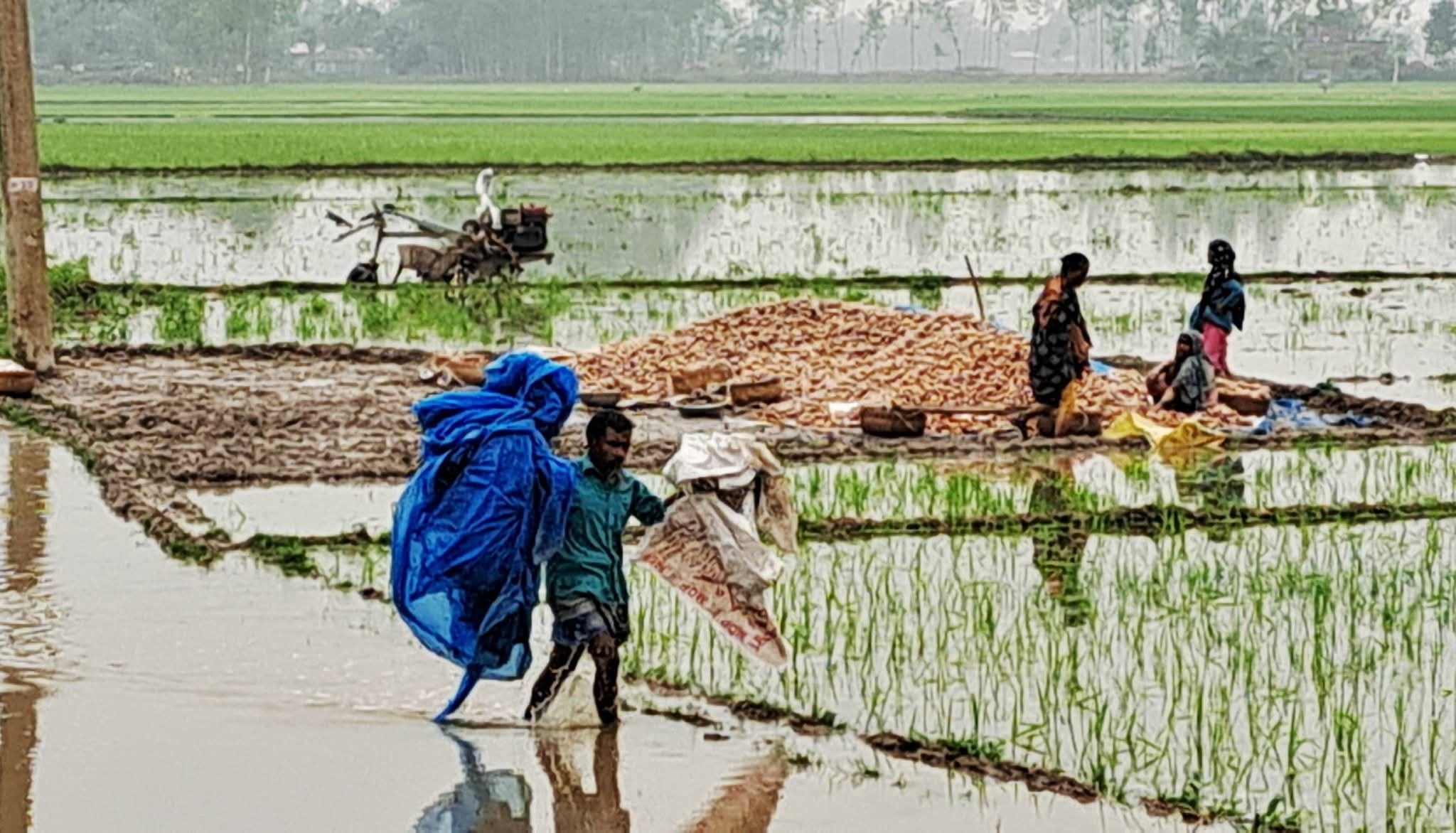 9d599f28-93e1-4fd6-ad8b-353ce15ad5be 9d599f28-93e1-4fd6-ad8b-353ce15ad5be