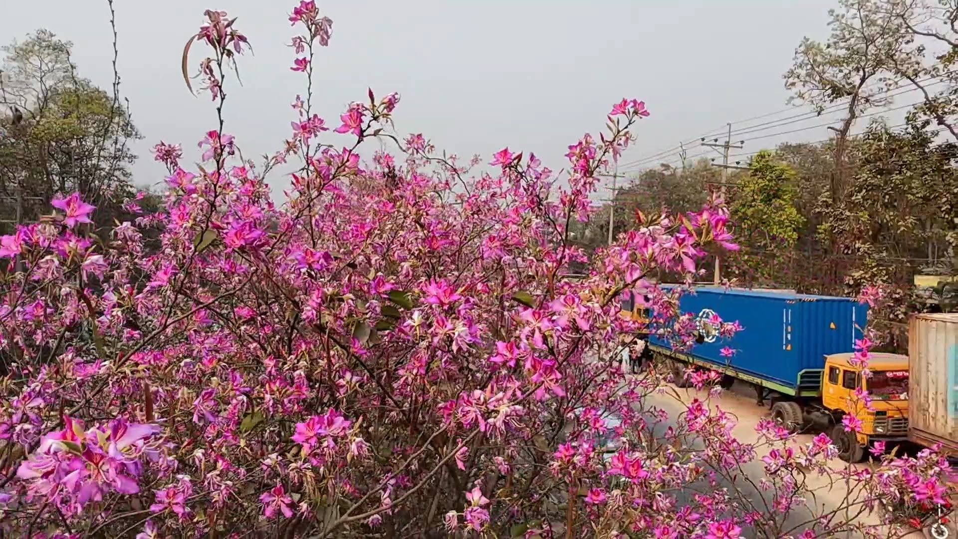 9f5d44aa-e20c-4753-8d00-f8c0e0b02548