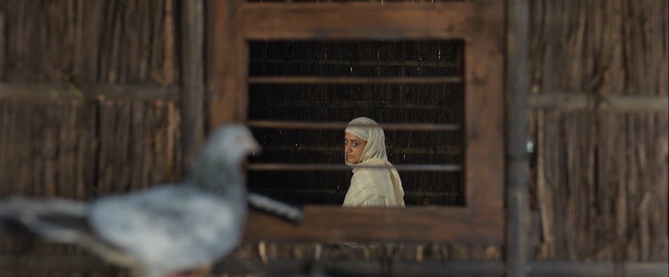 Domm_First_Look_(11)