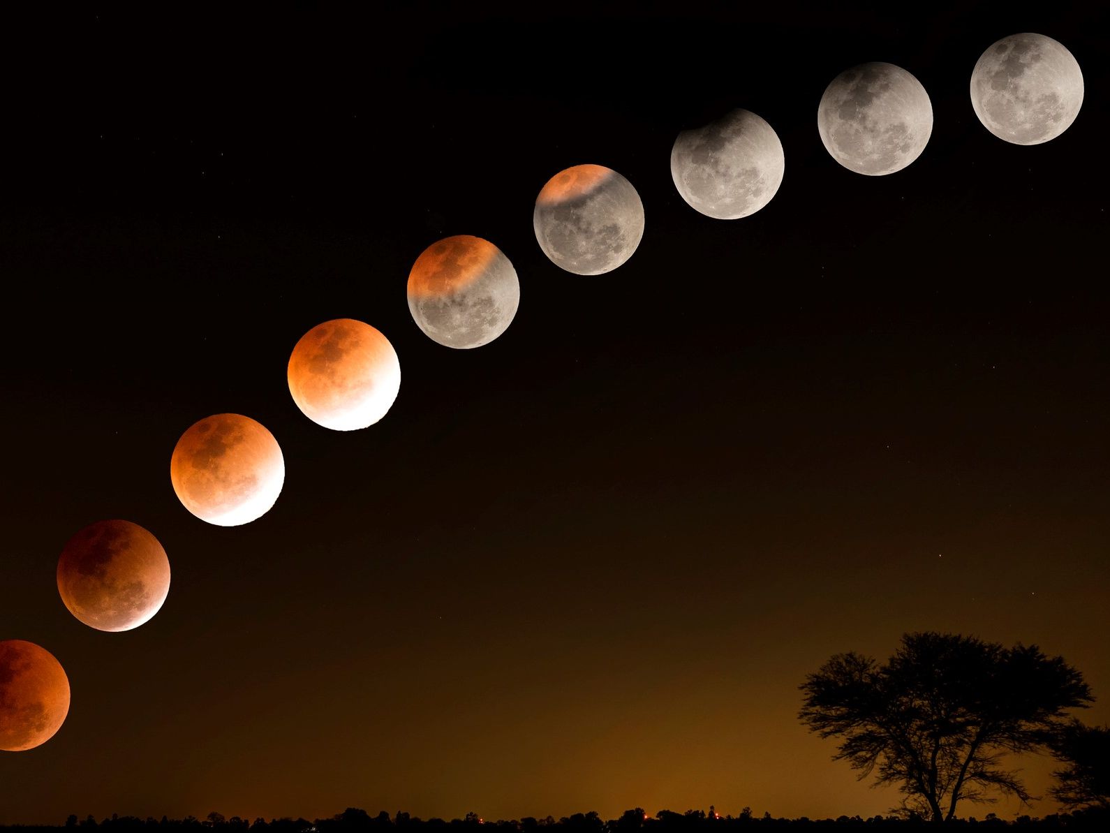 FGicVTjLV85SWuS8sJg3fJ