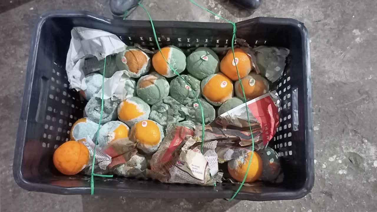 ১৯ হাজার ২৫৫ কেজি মাল্টা আত্মসাতের চেষ্টা