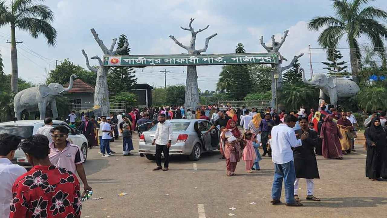 নতুন সিংহ সংযোজনে সাফারি পার্কে দর্শনার্থীদের ঢল