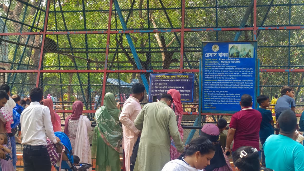 WhatsApp_Image_2026-03-26_at_4.06.30_PM