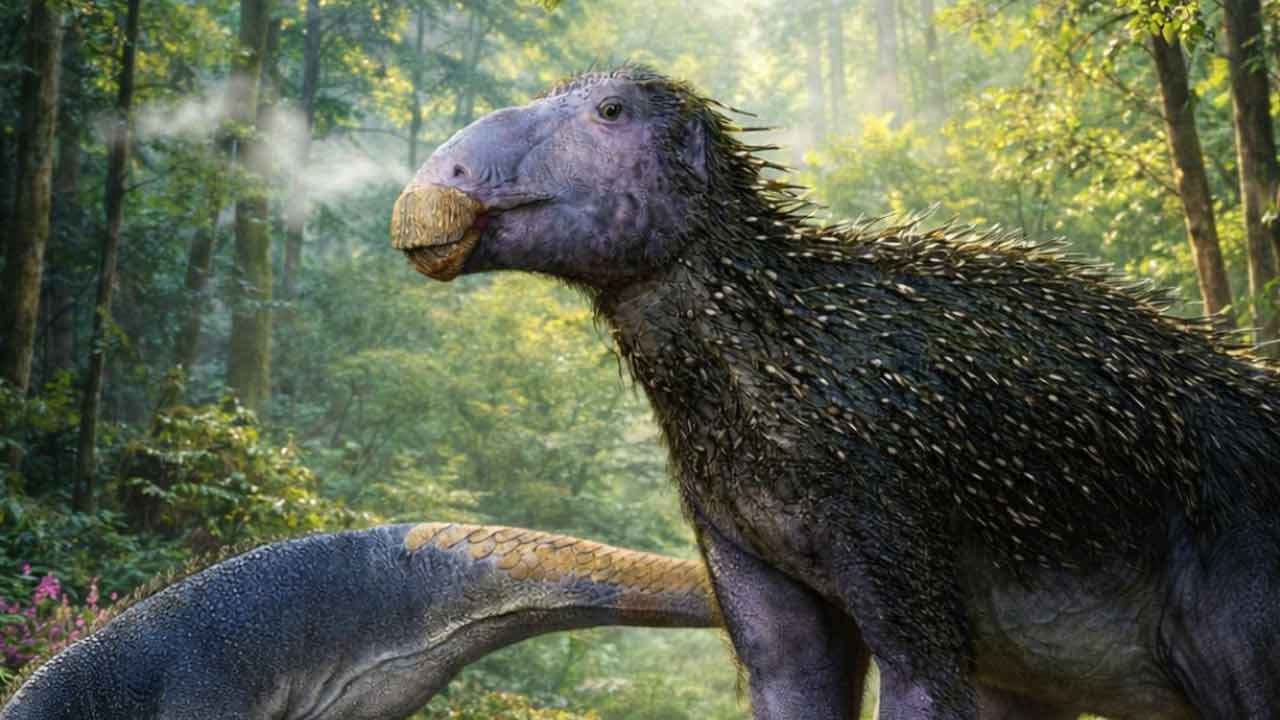 চীনে ডাইনোসরের নতুন প্রজাতি: সারা গায়ে সজারুর কাঁটা!