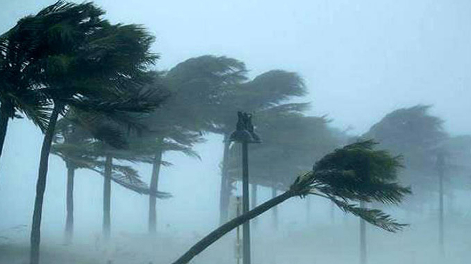 a5617e5bba41e75343029f971a1983bbed2ef19a622bd8f2 a5617e5bba41e75343029f971a1983bbed2ef19a622bd8f2